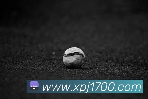xpjAPP 封面图